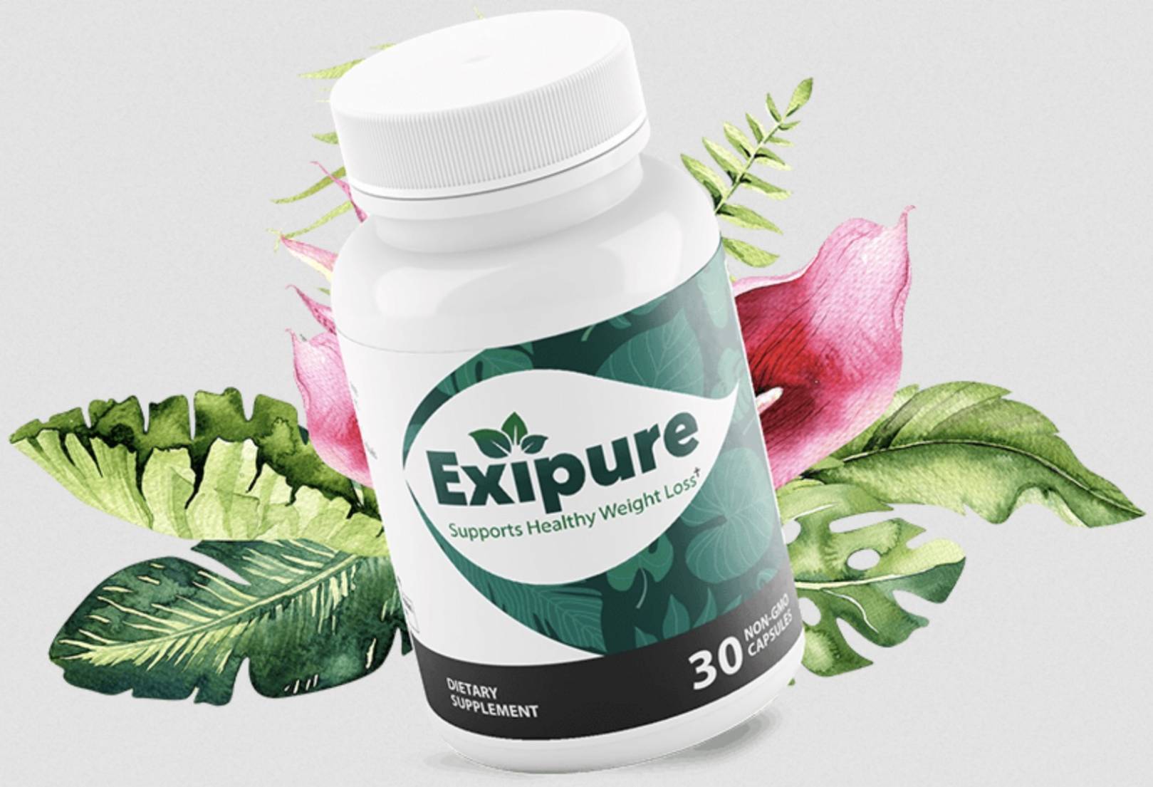 Exipure Fat Burn Pills Review